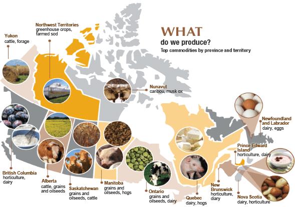کشاورزی کانادا canada agri
