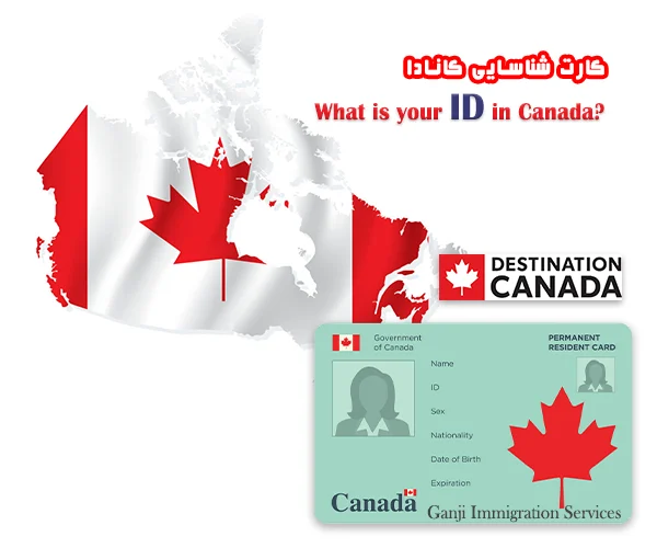کارت شناسایی کانادا