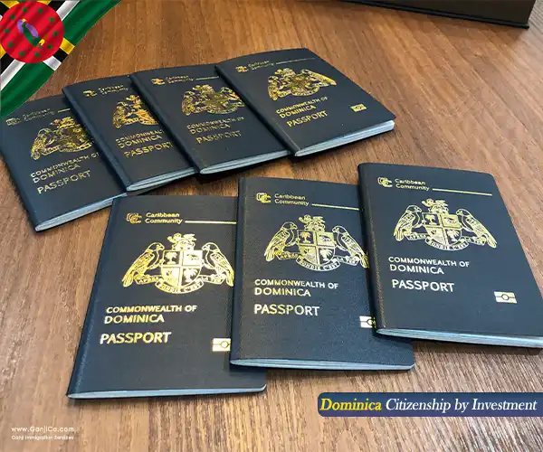 قوانین جدید پاسپورت دومینیکا قوانین جدید پاسپورت دومینیکا
