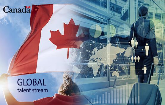 ویزای تلنت کانادا