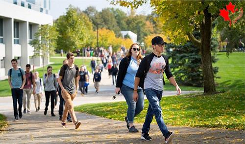  سایت دانشگاه های کانادا